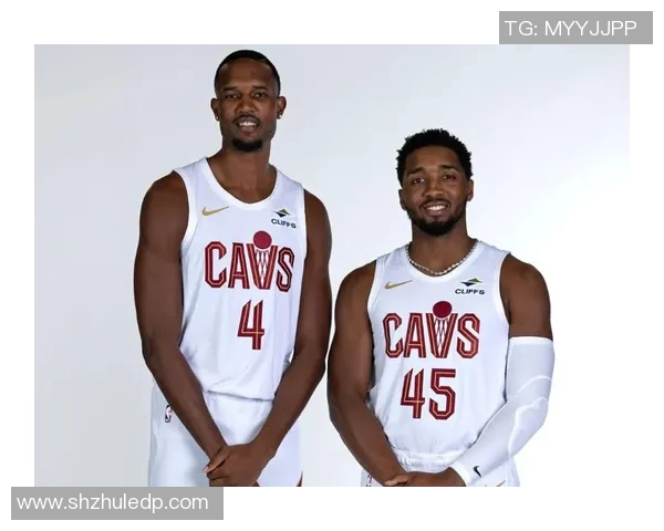 骑士因违反NBA球员参赛政策被罚款25万美元引发热议