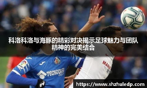 科洛科洛与海豚的精彩对决揭示足球魅力与团队精神的完美结合